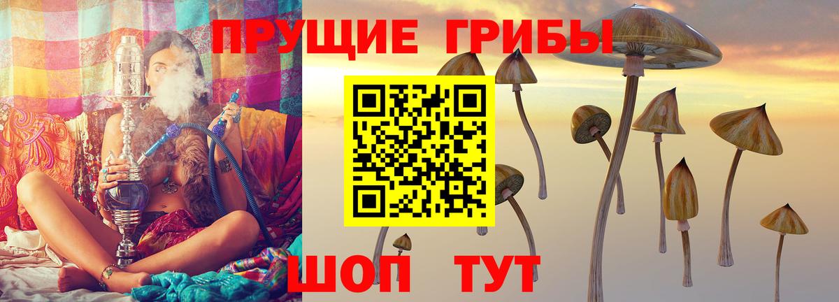 Красноперекопск  Псилоцибиновые грибы Psilocybe  Вход с VPN 